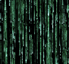 dimitrihalleycenter.com