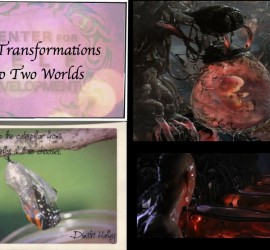 dimitrihalleycenter.com