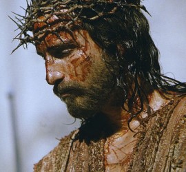 dimitrihalleycenter.com