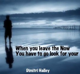 dimitrihalleycenter.com