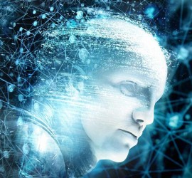 dimitrihalleycenter.com