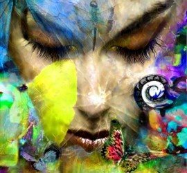 dimitrihalleycenter.com