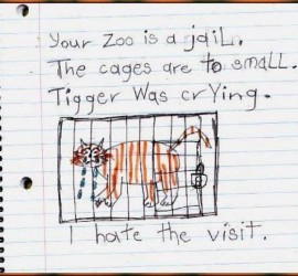 dimitrihalleycenter.com