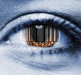 dimitrihalleycenter.com