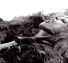 dimitrihalleycenter.com