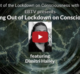 dimitrihalleycenter.com