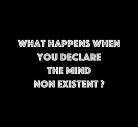 dimitrihalleycenter.com