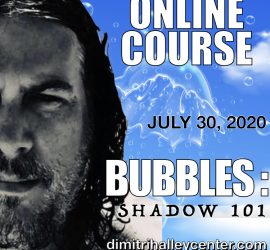 dimitrihalleycenter.com