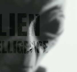 Webinar Saturday December 14th 2024