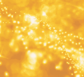 dimitrihalleycenter.com